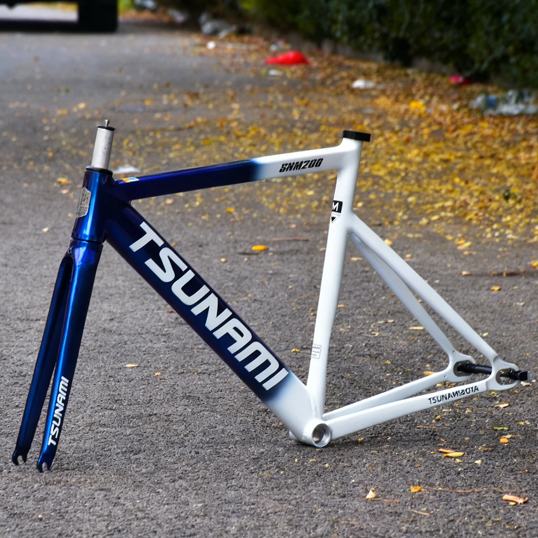 SNM200 Aluminum Alloy Fixed Ge - Cycling Commute Gear review and price