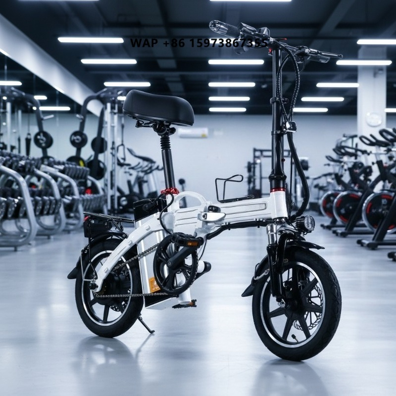 Mini Folding Electric Bike Fac - Commuting With Bike review and price