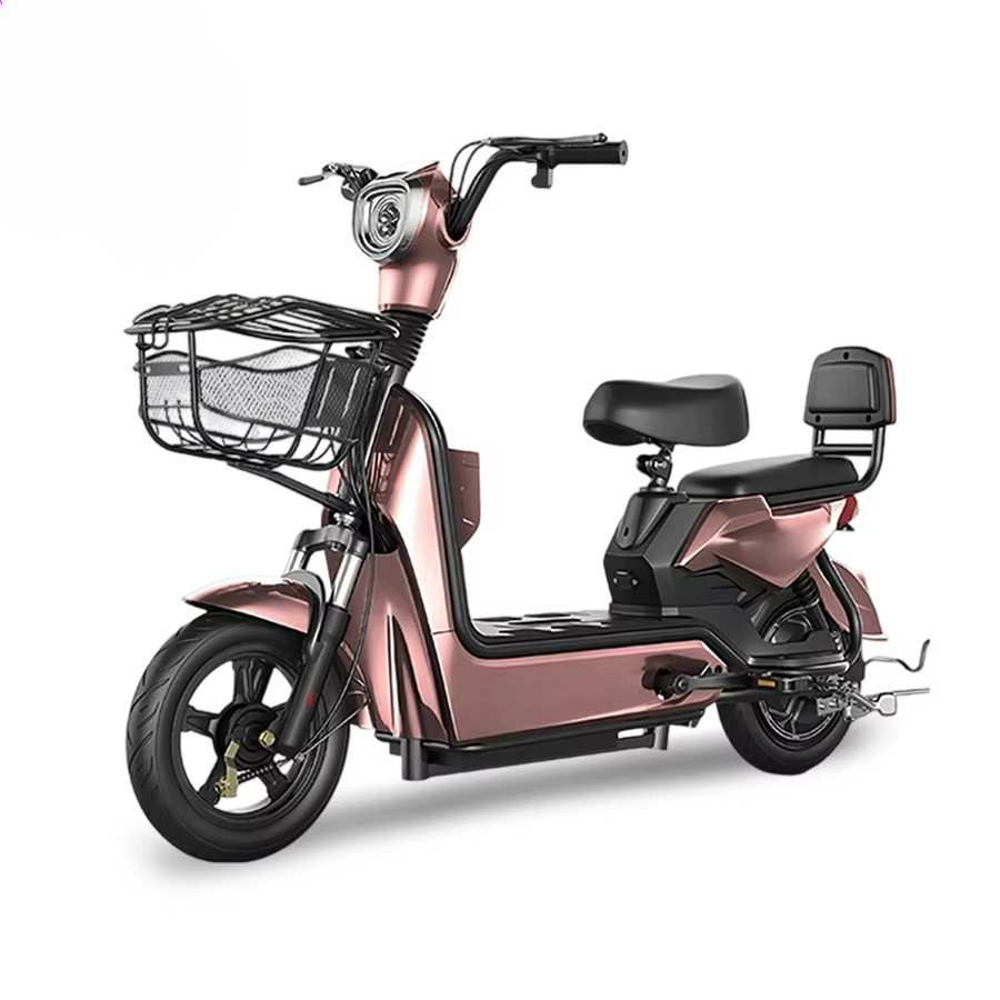 Best Price Electric City Bike  - Cycling In City review and price